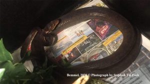 CH1501-01